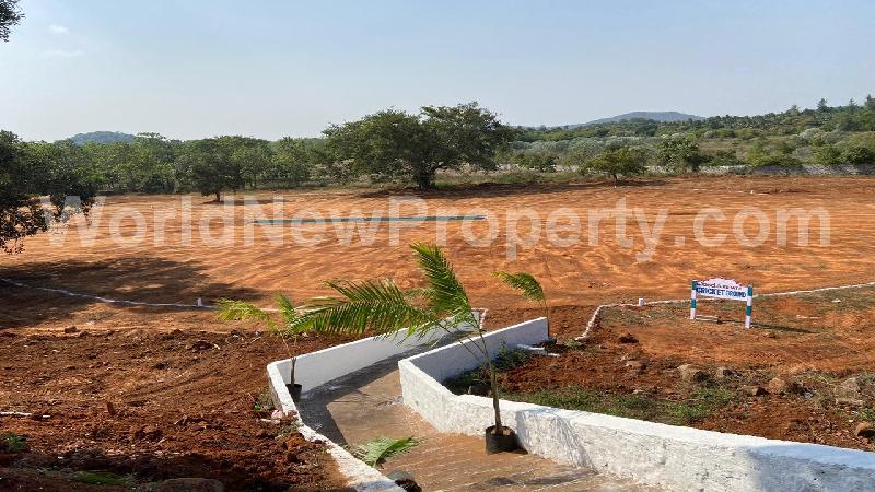 property near by Markanum, Shankar  real estate Markanum, Land-Plots for Sell in Markanum