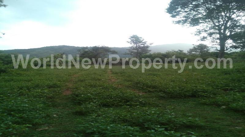 property near by Kodaikanal, Alex  real estate Kodaikanal, Land-Plots for Sell in Kodaikanal