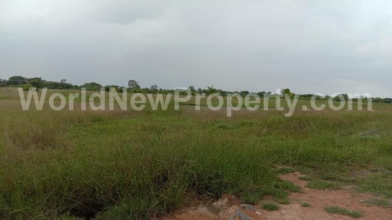 property near by Chengalpattu, P. Raymond Ruban real estate Chengalpattu, Land-Plots for Sell in Chengalpattu