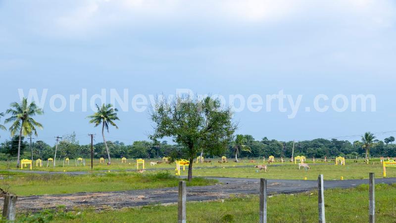 property near by Walajabad, Ezhumalai  real estate Walajabad, Land-Plots for Sell in Walajabad