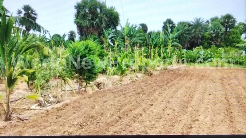 property near by Mahendravadi, M.Sundara Moorthy real estate Mahendravadi, Land-Plots for Sell in Mahendravadi