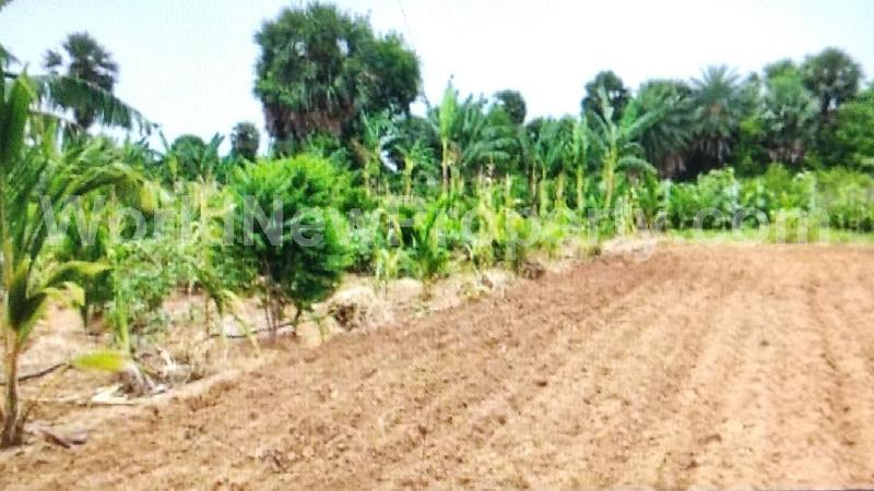 property near by Mahendravadi, M.Sundara Moorthy real estate Mahendravadi, Land-Plots for Sell in Mahendravadi