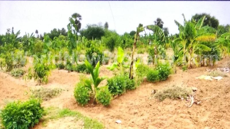 property near by Mahendravadi, M.Sundara Moorthy real estate Mahendravadi, Land-Plots for Sell in Mahendravadi