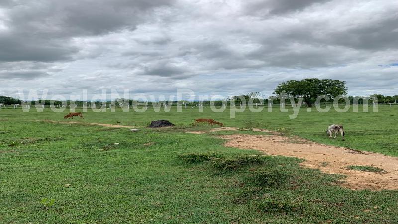 property near by Sriperumbudur, Ashok Kumar  real estate Sriperumbudur, Land-Plots for Sell in Sriperumbudur