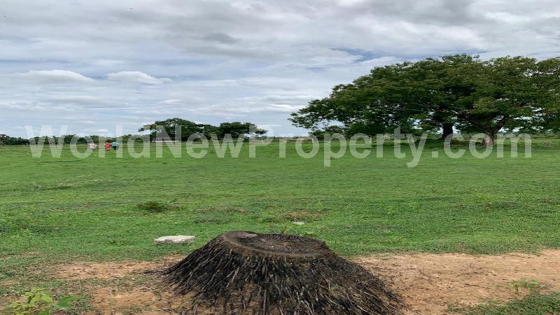 property near by Sriperumbudur, Ashok Kumar  real estate Sriperumbudur, Land-Plots for Sell in Sriperumbudur