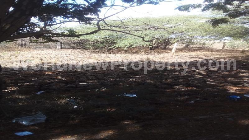 property near by Thiruneermalai, vijay real estate Thiruneermalai, Land-Plots for Sell in Thiruneermalai