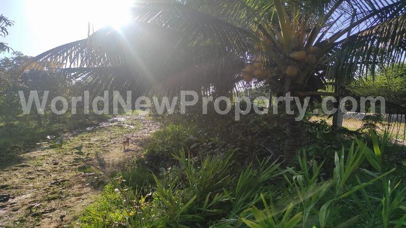 property near by Tirukalikundram, Renu  real estate Tirukalikundram, Land-Plots for Sell in Tirukalikundram