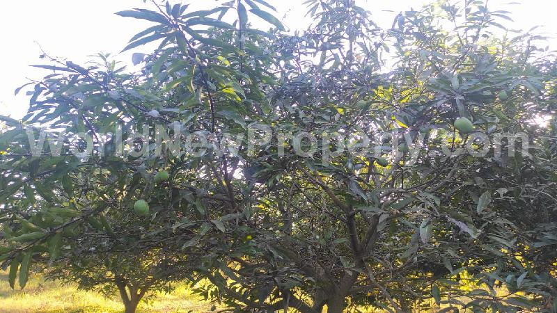 property near by Tirukalikundram, Renu  real estate Tirukalikundram, Land-Plots for Sell in Tirukalikundram