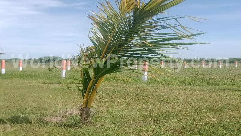 property near by Mamandur, Kristober real estate Mamandur, Land-Plots for Sell in Mamandur