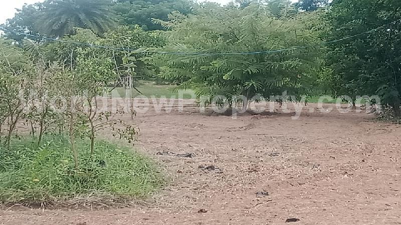 property near by Chengalpattu, Kristober real estate Chengalpattu, Land-Plots for Sell in Chengalpattu