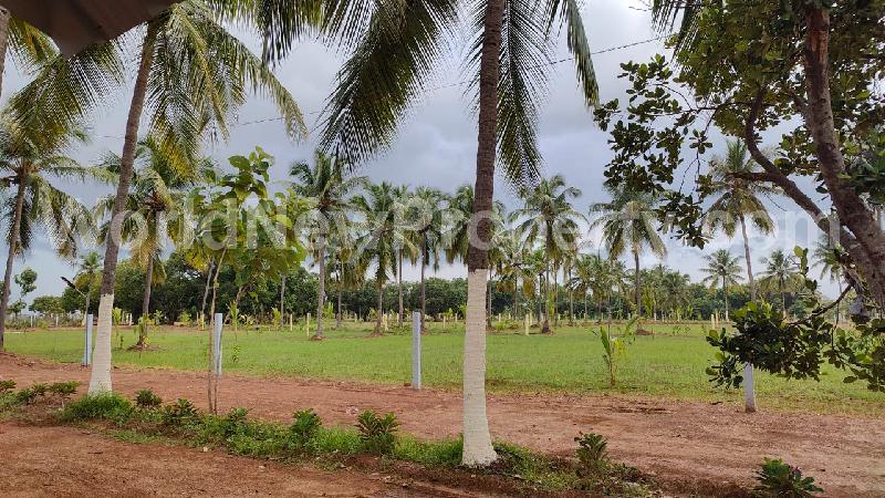 property near by Cheyur (Kanchipuram), palani.p real estate Cheyur (Kanchipuram), Land-Plots for Sell in Cheyur (Kanchipuram)