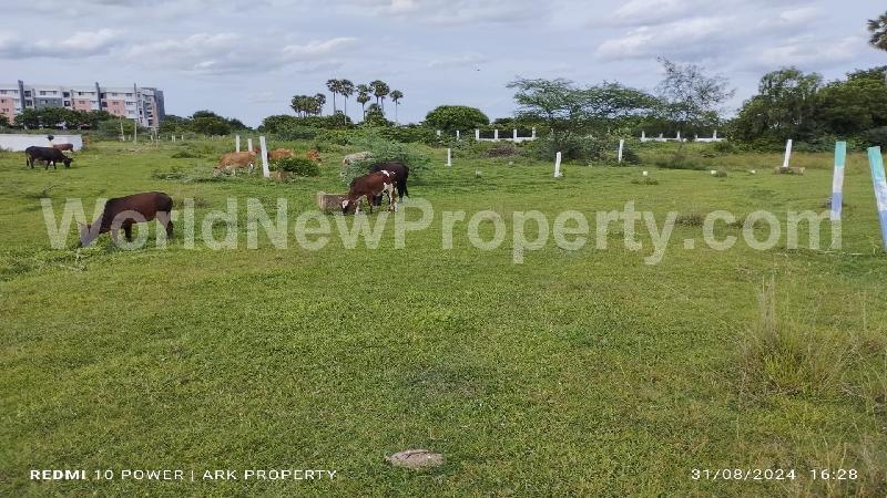 property near by Urapakkam, Anil Kumar real estate Urapakkam, Land-Plots for Sell in Urapakkam