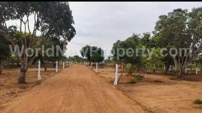 property near by Padalam, Rajeshwari real estate Padalam, Land-Plots for Sell in Padalam