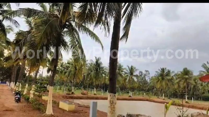 property near by Padalam, Rajeshwari real estate Padalam, Land-Plots for Sell in Padalam