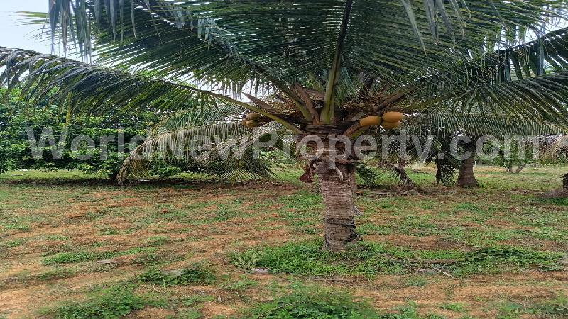 property near by Chengalpattu, Rajeshwari real estate Chengalpattu, Land-Plots for Sell in Chengalpattu