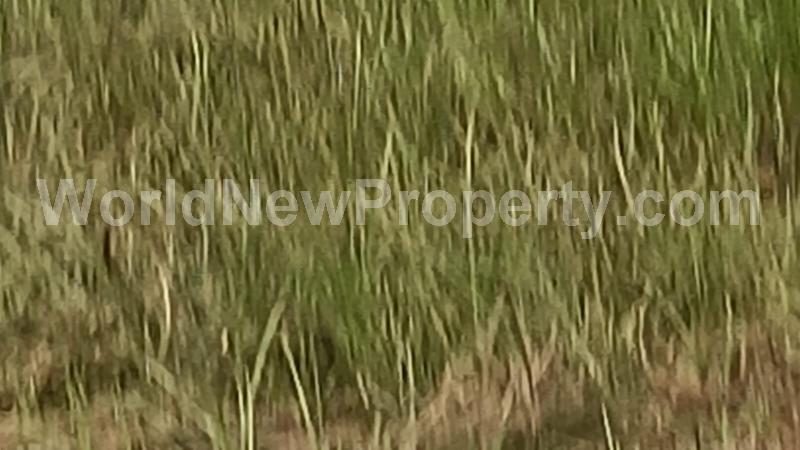 property near by Tambaram, A.Vishwanathan real estate Tambaram, Land-Plots for Sell in Tambaram