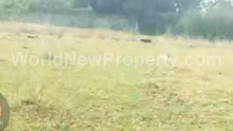 property near by Chengalpattu, I.L.Andrews real estate Chengalpattu, Land-Plots for Sell in Chengalpattu