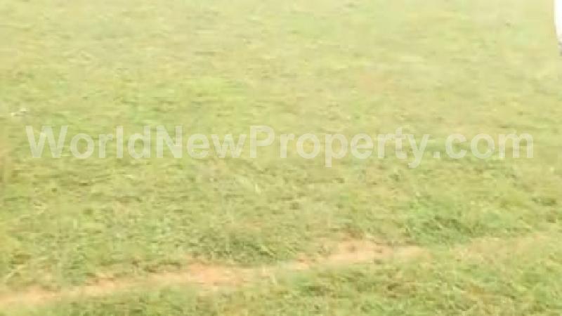 property near by Chengalpattu, I.L.Andrews real estate Chengalpattu, Land-Plots for Sell in Chengalpattu
