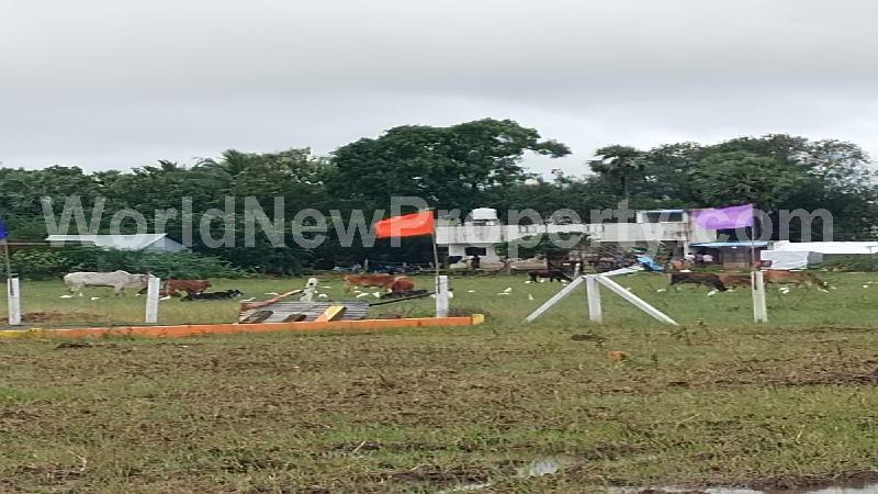 property near by Red Hills, Srinivasan real estate Red Hills, Land-Plots for Sell in Red Hills