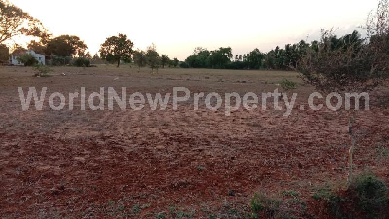 property near by , ASOKHAN real estate , Land-Plots for Sell in 