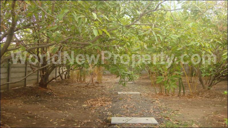 property near by Cheyur (Kanchipuram), RAVINDRAN  real estate Cheyur (Kanchipuram), Land-Plots for Sell in Cheyur (Kanchipuram)