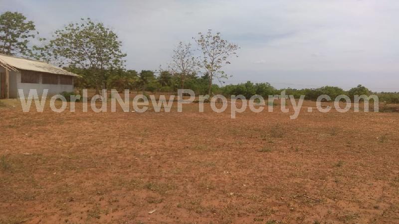property near by Puliyur, ASOKHAN real estate Puliyur, Land-Plots for Sell in Puliyur