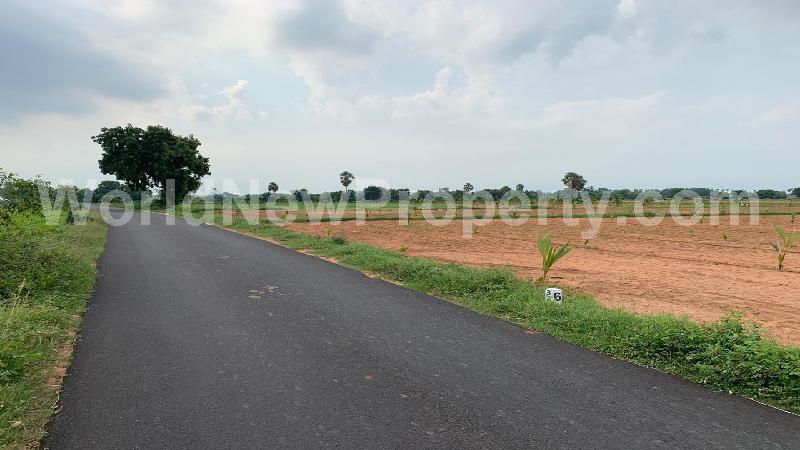 property near by Markanum, Venkatesan real estate Markanum, Land-Plots for Sell in Markanum