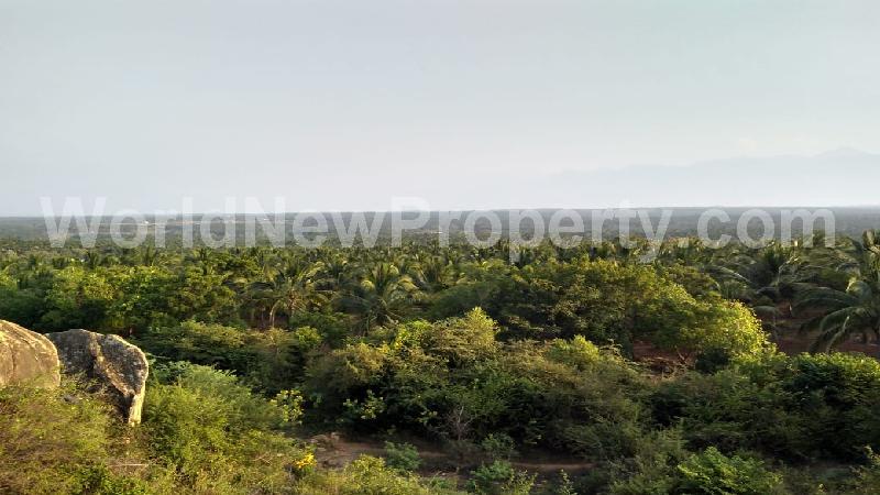 property near by Pollachi, ASOKHAN real estate Pollachi, Land-Plots for Sell in Pollachi