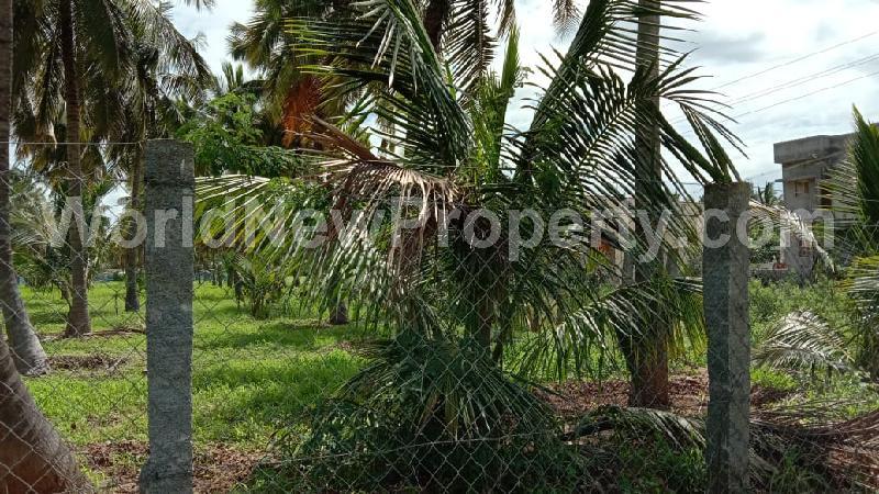 property near by Sulur, ASOKHAN real estate Sulur, Land-Plots for Sell in Sulur