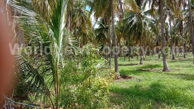 property near by Sulur, ASOKHAN real estate Sulur, Land-Plots for Sell in Sulur
