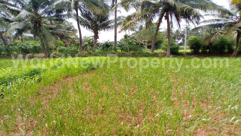 property near by Sulur, Annai Real Estate real estate Sulur, Land-Plots for Sell in Sulur