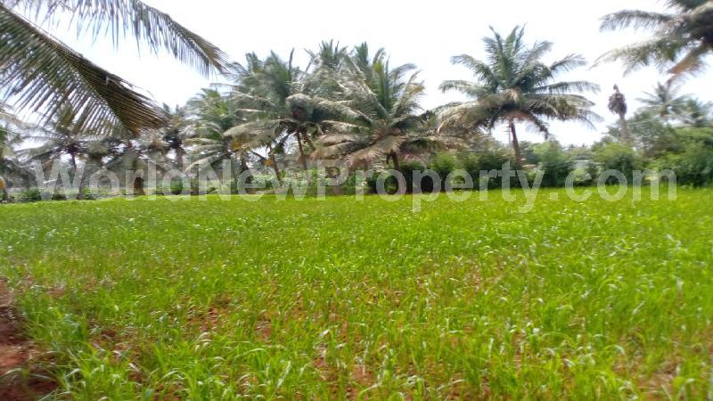 property near by Sulur, Annai Real Estate real estate Sulur, Land-Plots for Sell in Sulur